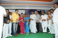 Sri Vasavi Kanyaka Parameswari Charitra Audio Launch
